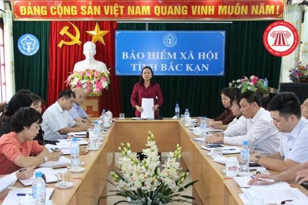 Phó Tổng biên tập Tạp chí Bảo hiểm xã hội phải có trình độ cao cấp lý luận chính trị đúng không?