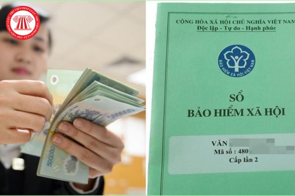 Kế toán trưởng Bảo hiểm xã hội Việt Nam phải đáp ứng những tiêu chuẩn gì về chuyên môn nghiệp vụ?