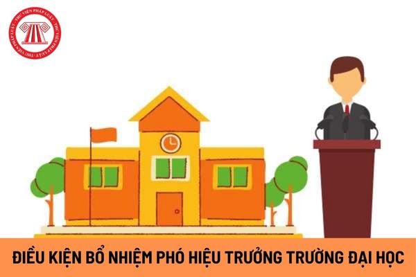 Phó hiệu trưởng trường đại học do ai bổ nhiệm? Tiêu chuẩn bổ nhiệm phó hiệu trưởng trường đại học như thế nào?