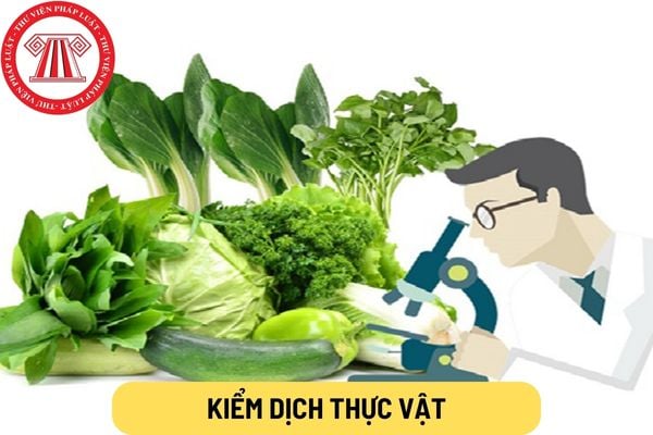 Vật thể trong Danh mục vật thể thuộc diện kiểm dịch thực vật khi nhập ...