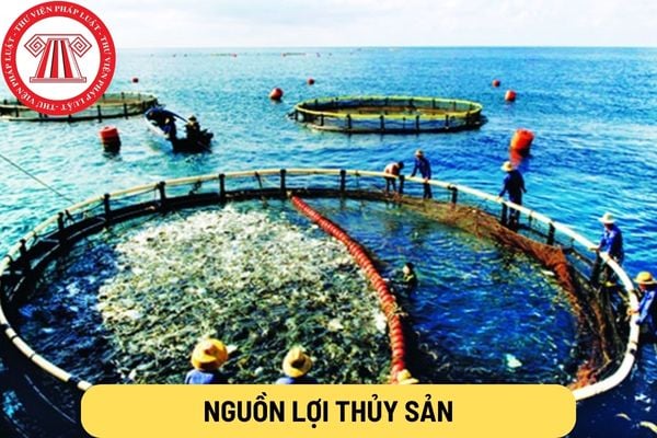 nguồn lợi thủy sản