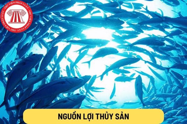 nguồn lợi thủy sản