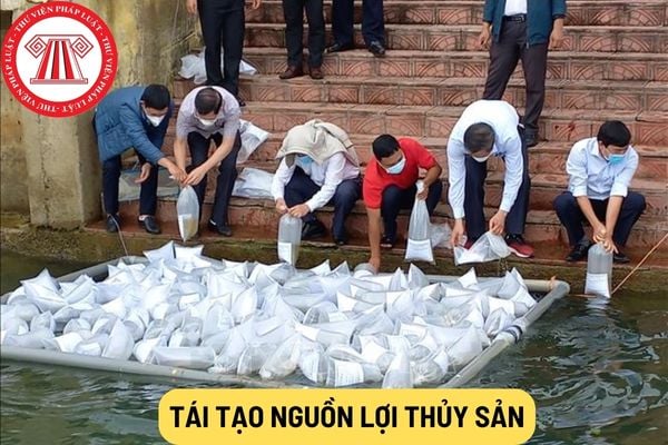 tái tạo nguồn lợi thủy sản