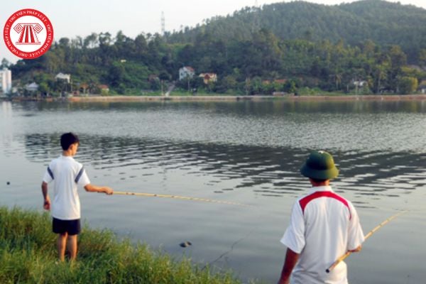 Cá nhân mua công cụ kích điện để khai thác thủy sản sẽ bị phạt bao nhiêu tiền? Thời hiệu xử phạt bao lâu?