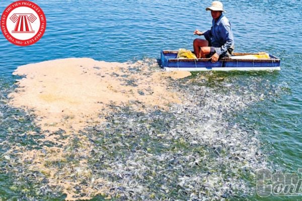 Cá nhân không ghi chép trong quá trình nuôi trồng thủy sản và các tài liệu khác về quá trình nuôi trồng sẽ bị phạt bao nhiêu tiền?