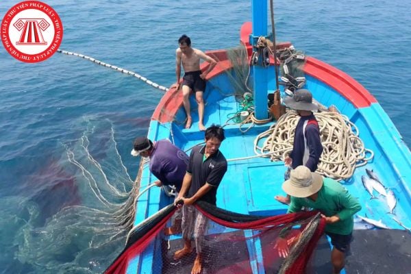 Hộ gia đình khi hoạt động khai thác thủy sản có cần phải mang theo Giấy chứng nhận an toàn kỹ thuật tàu cá hay không?