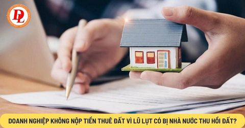 doanh nghiệp không nộp tiền