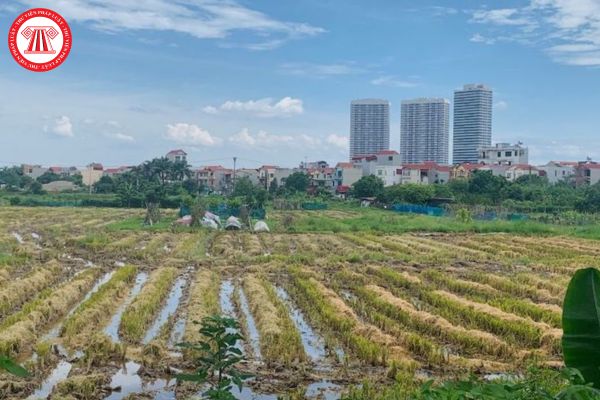 Thống kê đất đai có được thực hiện hằng năm không? Chỉ tiêu thống kê đất đai sẽ được xác định như thế nào?