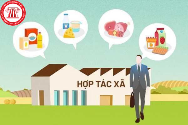 Đại diện hợp tác xã