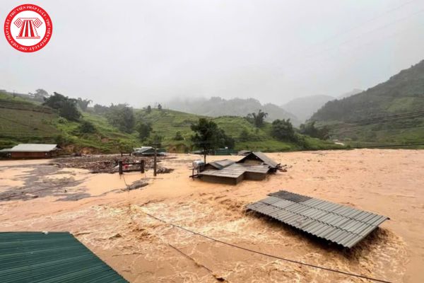 Mức hỗ trợ đối với gà, vịt bị thiệt hại do bão Yagi gây ra là bao nhiêu? Người dân nộp hồ sơ xin hỗ trợ như thế nào?