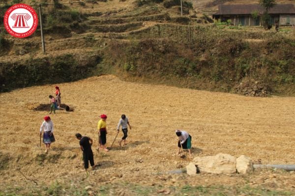 Người dân tộc thiểu số được Nhà nước cho thuê đất phi nông nghiệp không phải là đất ở để sản xuất có được miễn tiền thuê đất không?