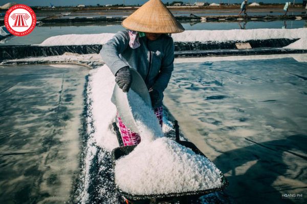 Thời hạn giao đất đối với cá nhân trực tiếp sản xuất nông nghiệp sử dụng đất làm muối bao nhiêu năm?