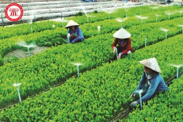 Đăng ký hợp tác xã có phải bao gồm việc đăng ký chuyển đổi tổ hợp tác thành hợp tác xã hay không?