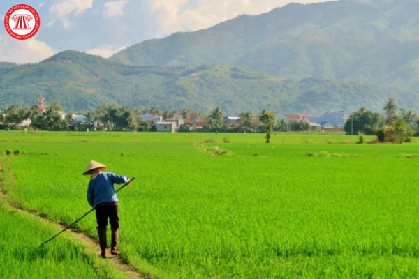 Mẫu văn bản chấp thuận phương án sử dụng tầng đất mặt mới nhất hiện nay là mẫu nào? Tải về mẫu tại đâu?