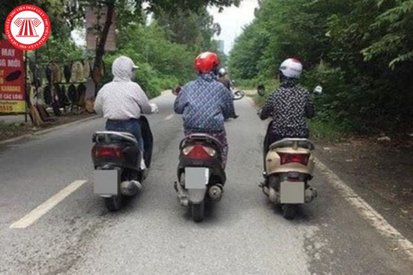 Pháp luật
