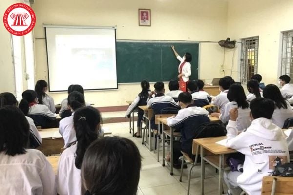 Pháp luật