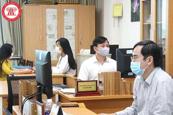 Pháp luật
