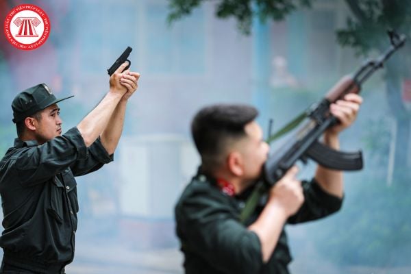 Pháp luật