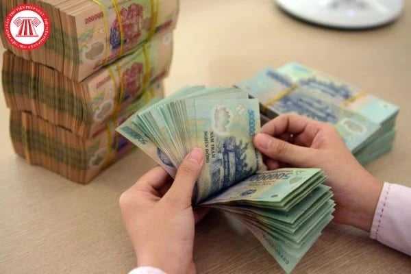 Pháp luật