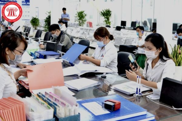 Pháp luật