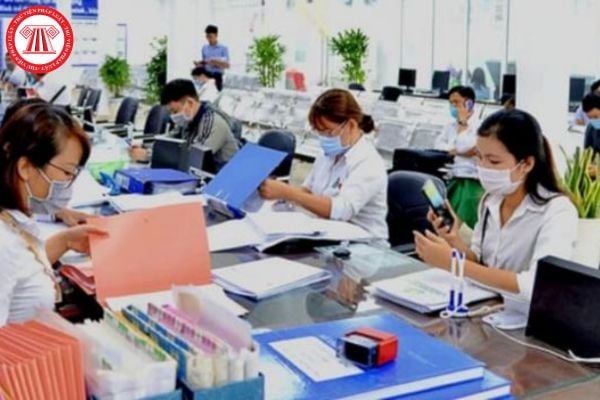 Pháp luật