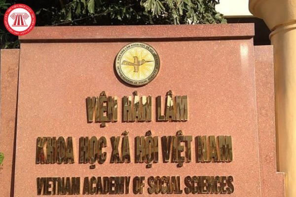 Pháp luật