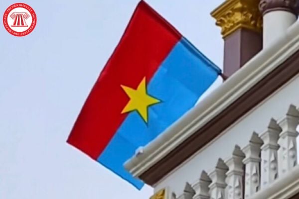 Pháp luật