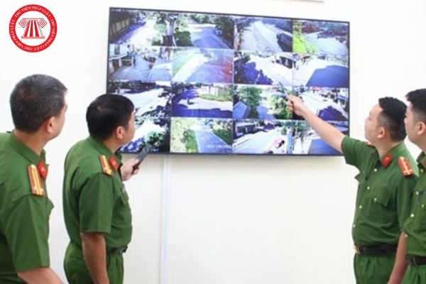 Pháp luật