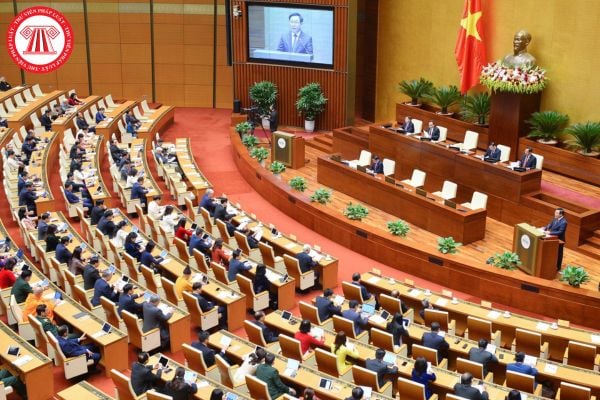 Pháp luật