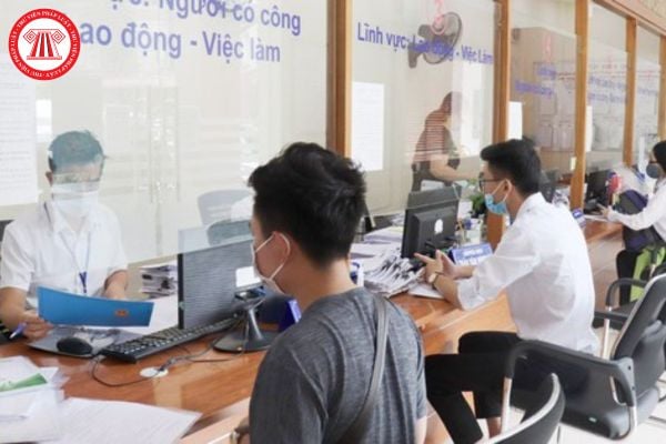 Pháp luật