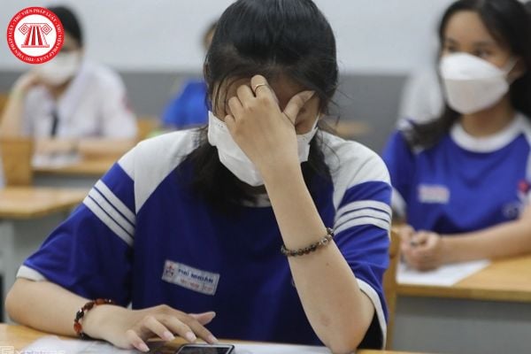 Pháp luật