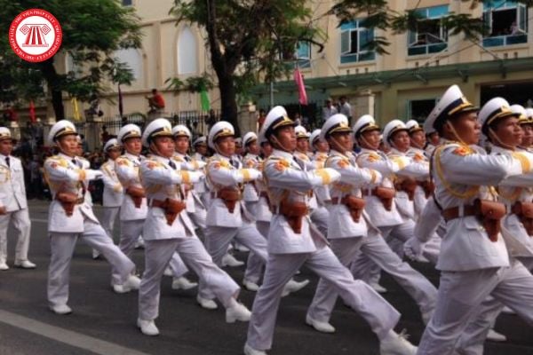 Pháp luật