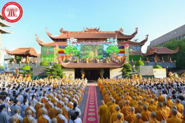 Pháp luật