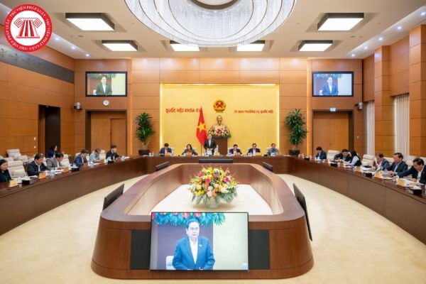 Pháp luật