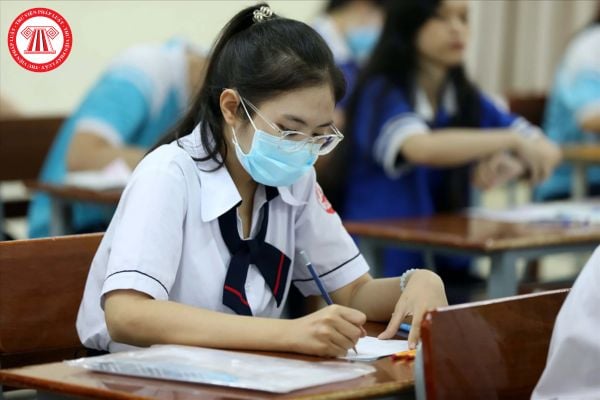 Pháp luật