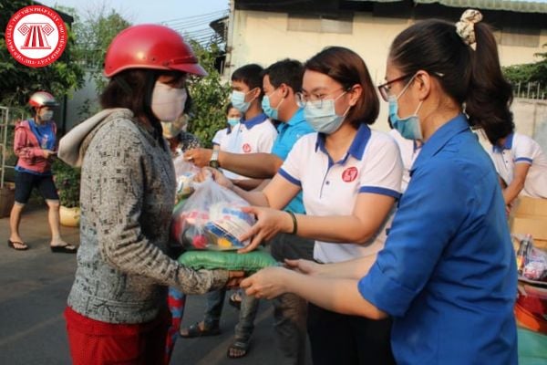 Pháp luật