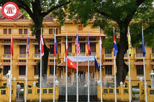 Pháp luật