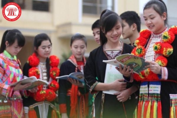 Pháp luật