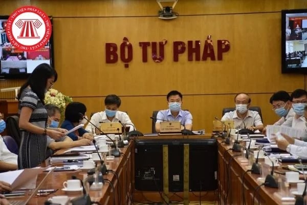 Pháp luật