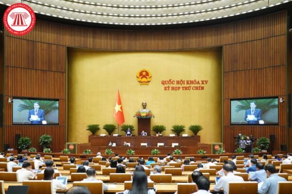 Pháp luật