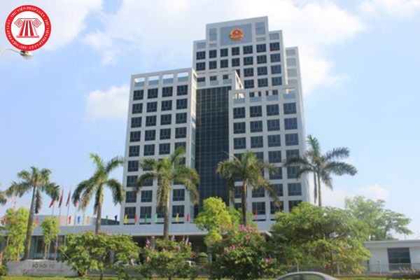 Pháp luật