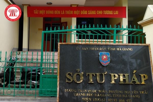 Pháp luật