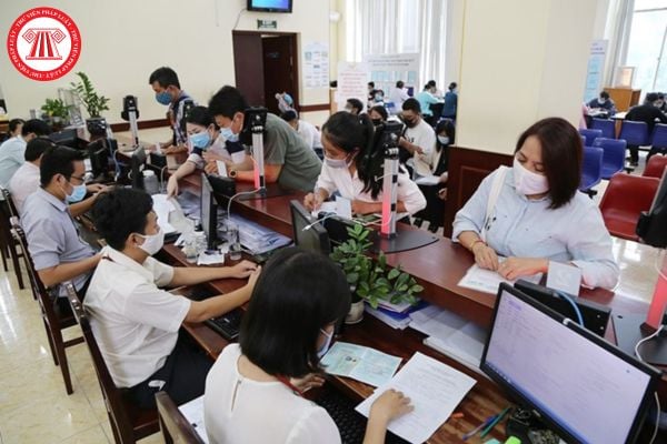 Pháp luật