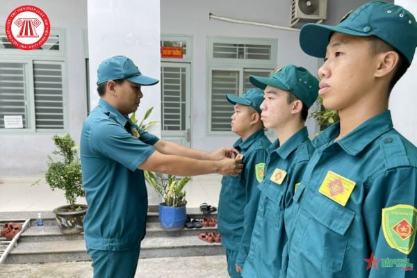 Pháp luật