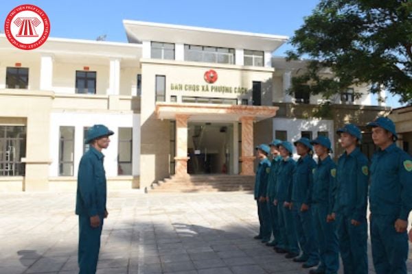 Pháp luật