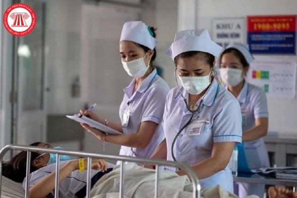 Pháp luật
