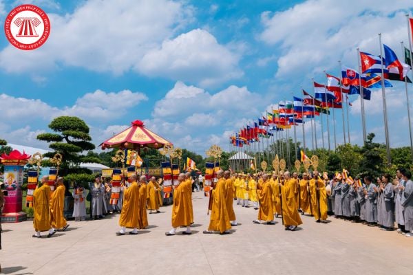 Pháp luật