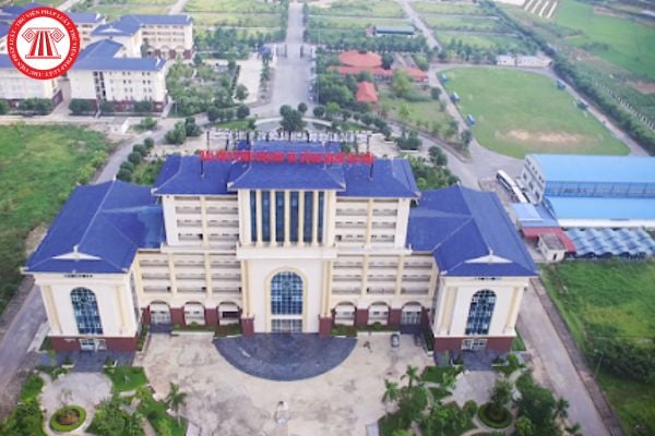 Pháp luật
