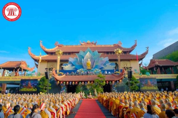 Pháp luật
