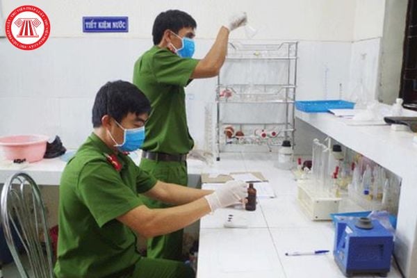 Pháp luật